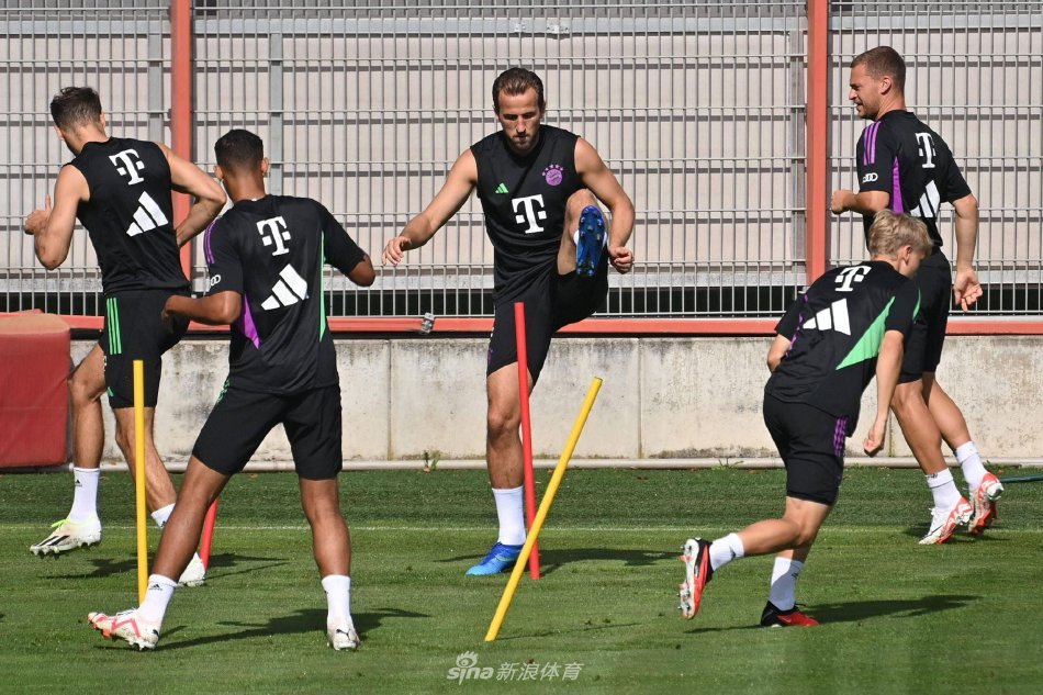 教练往往倾 教练往往倾