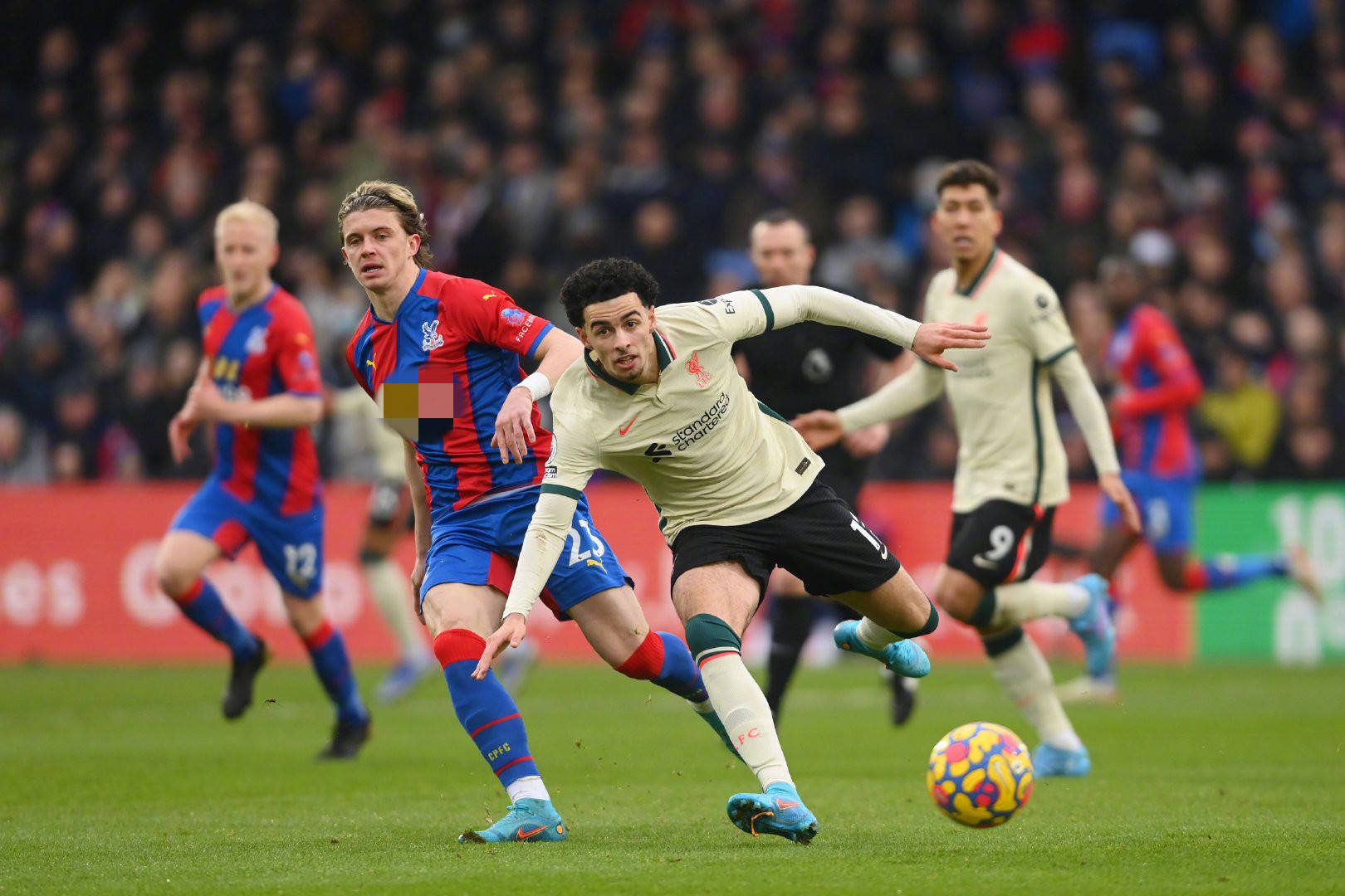 将成为球队 将成为球队